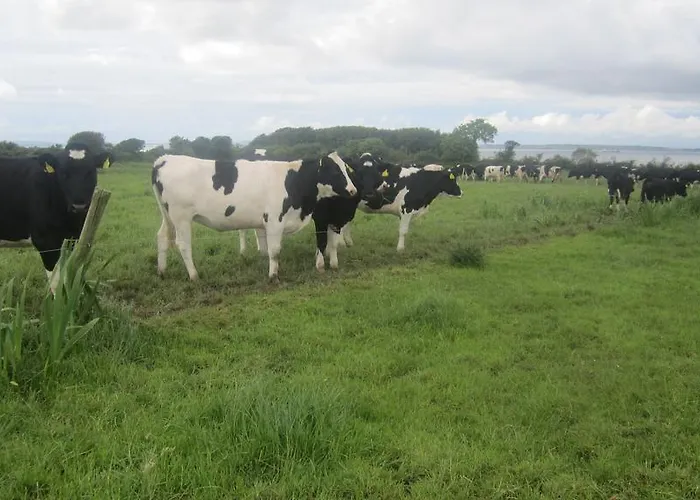 Vakantieboerderij Greenfields Farmhouse